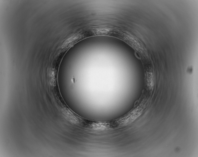 X0000098190378200804241250