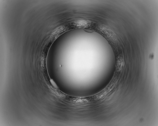 X0000098190379200804241250