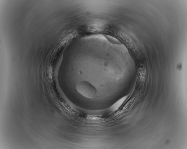 X0000098190380200804241250