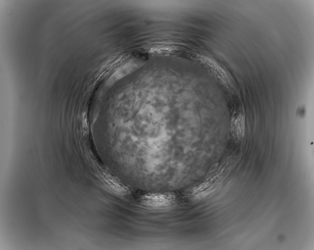 X0000098190381200804241250