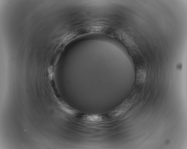 X0000098190383200804241250