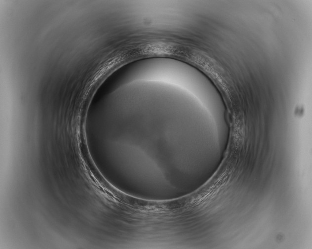 X0000098190386200804241250