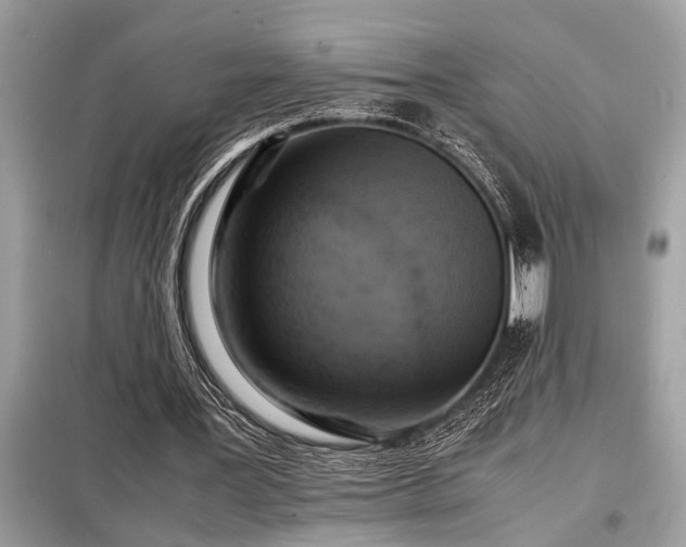 X0000098190387200804241250