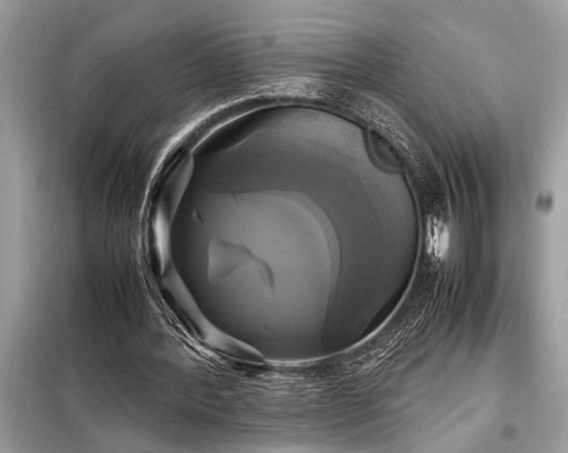 X0000098190388200804241250
