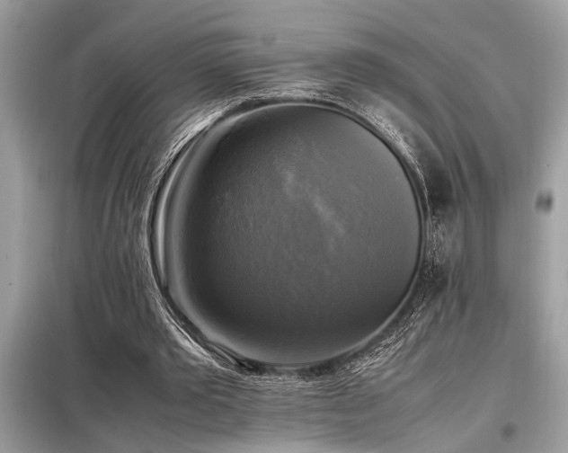 X0000098190389200804241250