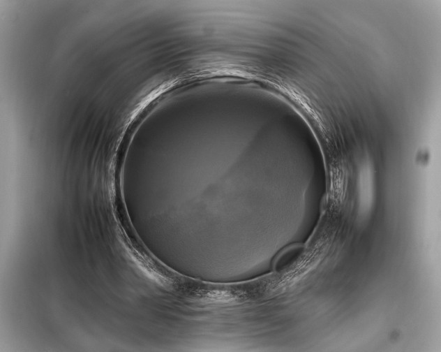 X0000098190390200804241250