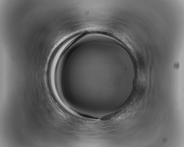 X0000098190391200804241250