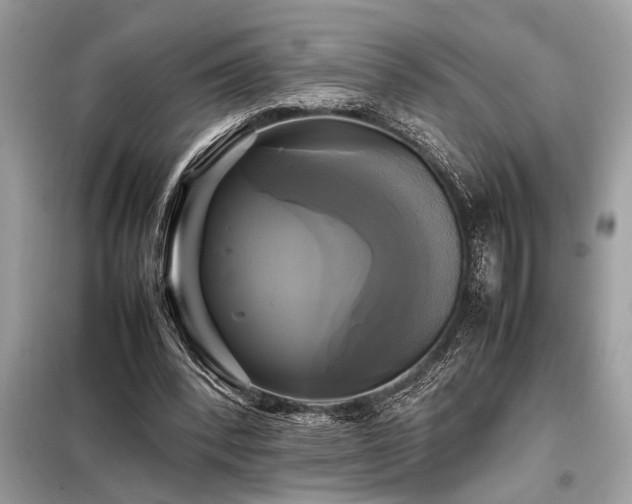 X0000098190392200804241250