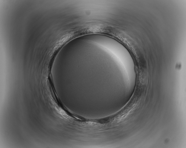 X0000098190393200804241250