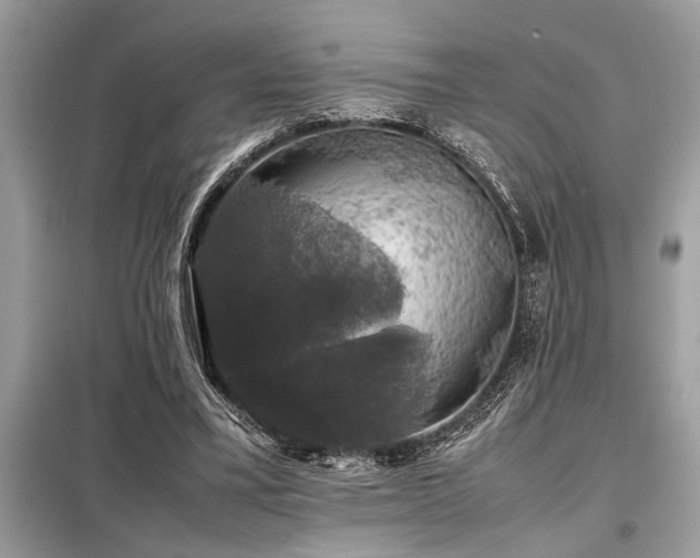 X0000098190395200804241250