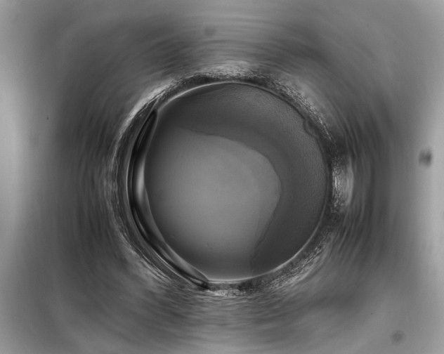 X0000098190396200804241250