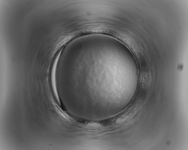 X0000098190397200804241250