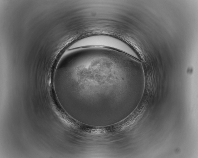 X0000098190398200804241250