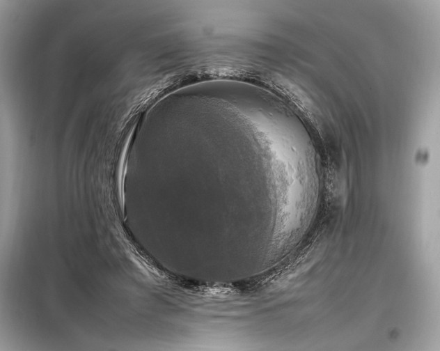 X0000098190401200804241250