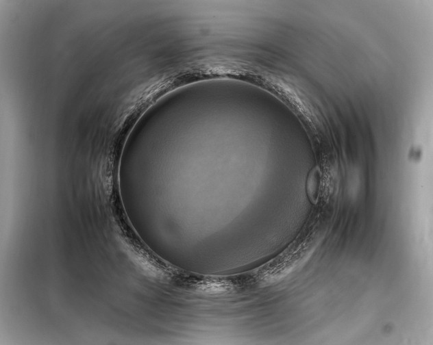 X0000098190402200804241250