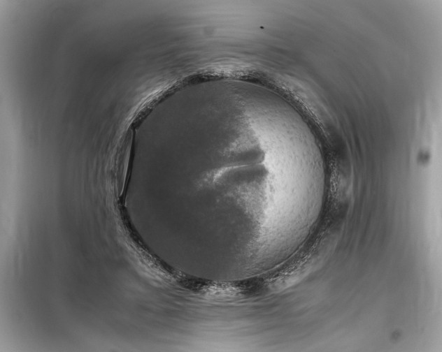 X0000098190403200804241249