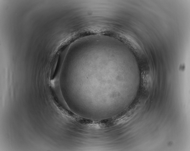 X0000098190404200804241249