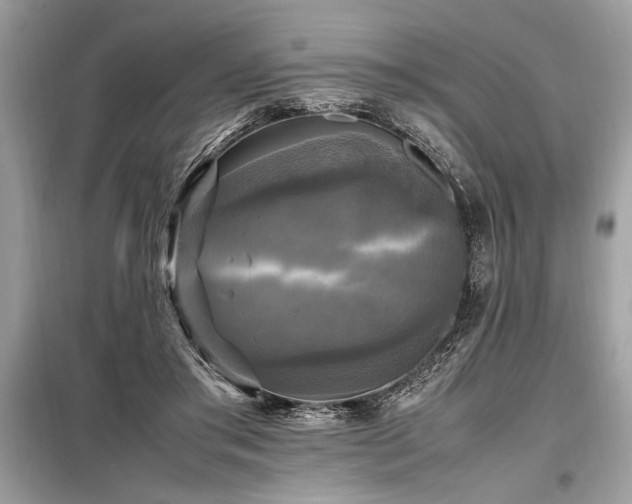 X0000098190405200804241249