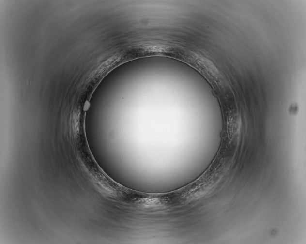 X0000098190406200804241249