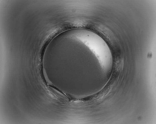 X0000098190407200804241249