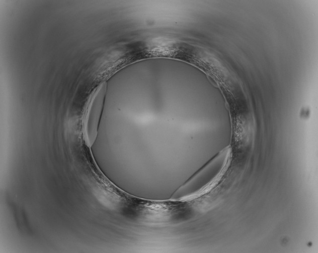X0000098190409200804241249