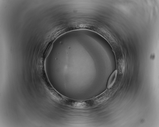 X0000098190410200804241249