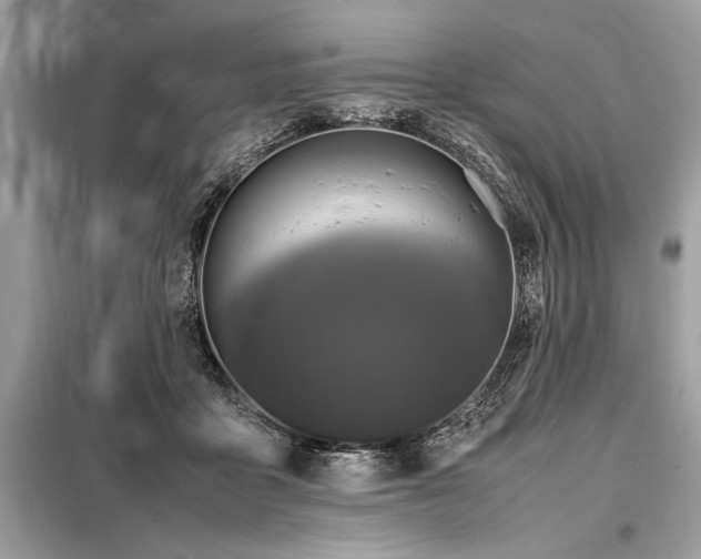 X0000098190411200804241249