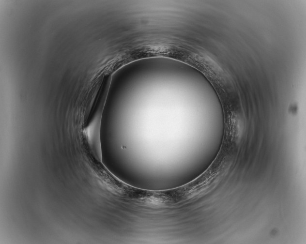X0000098190412200804241249