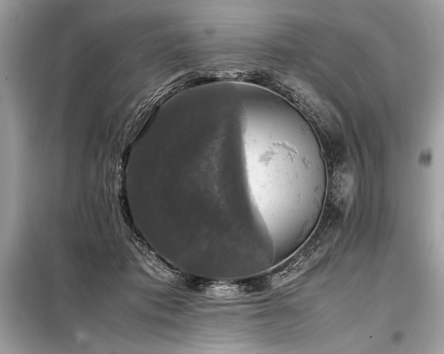 X0000098190413200804241249