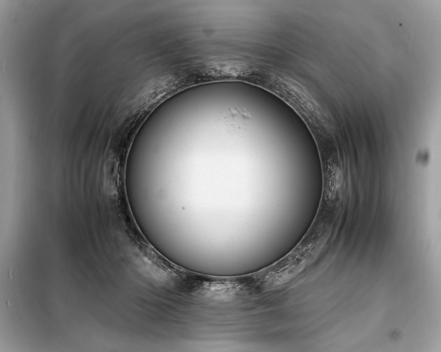 X0000098190414200804241249