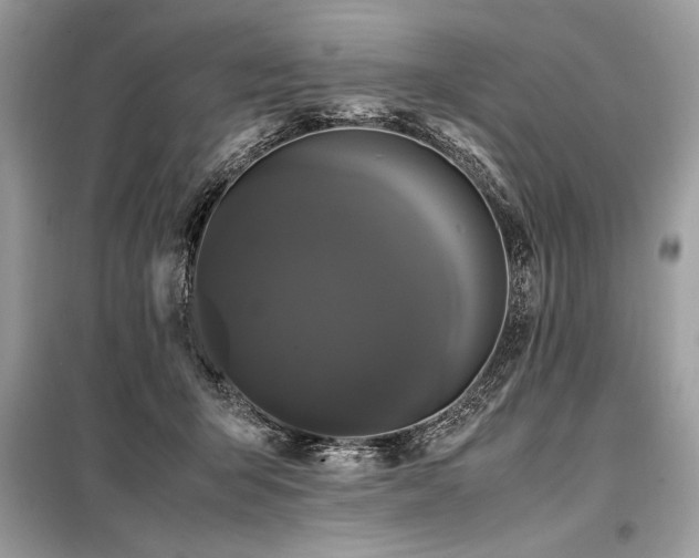 X0000098190415200804241249