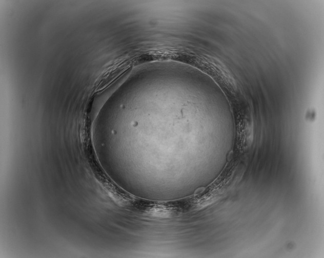 X0000098190416200804241249