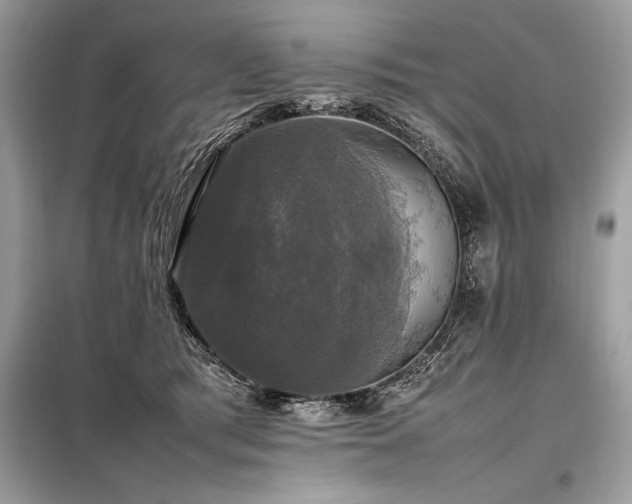 X0000098190417200804241249