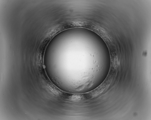 X0000098190418200804241249