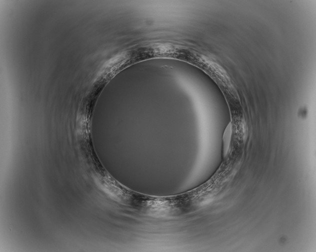 X0000098190419200804241249