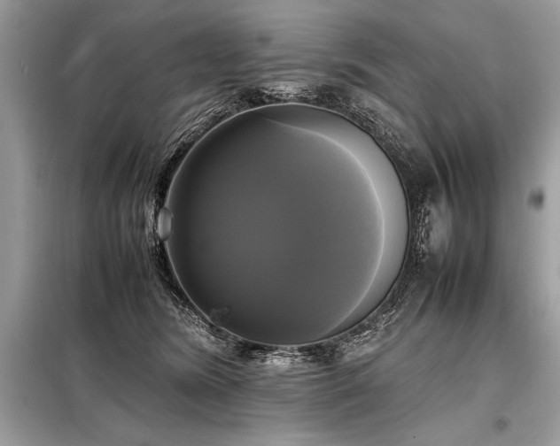 X0000098190420200804241249