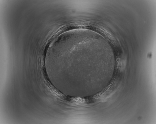 X0000098190421200804241249