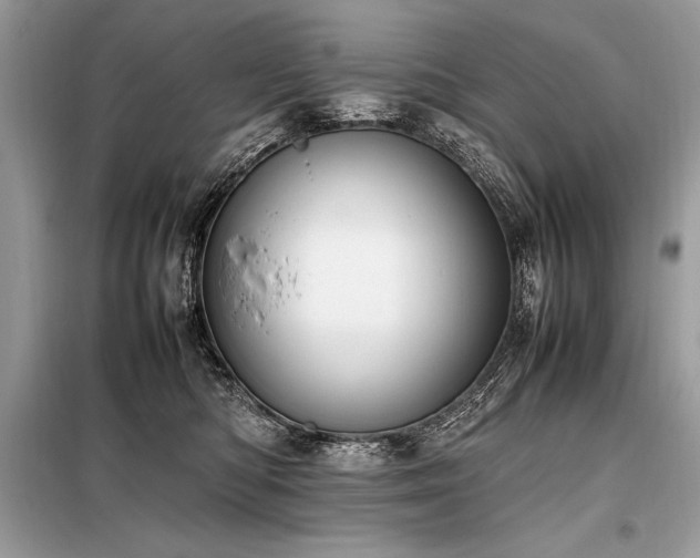 X0000098190422200804241249