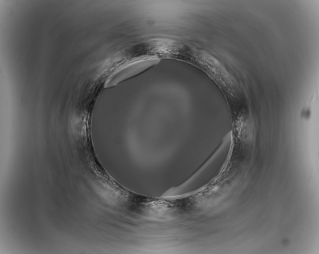 X0000098190423200804241249