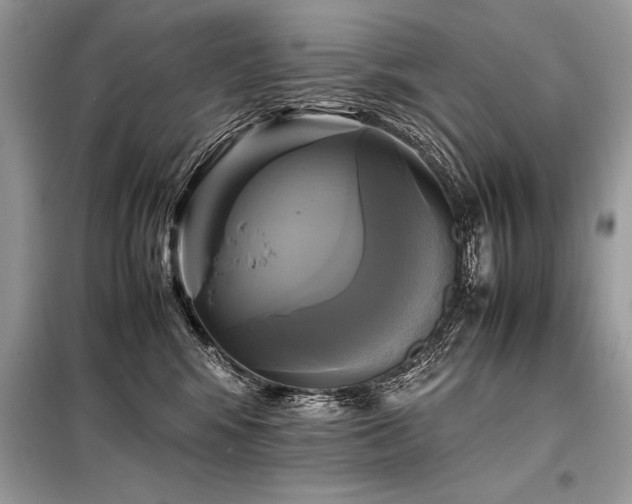 X0000098190424200804241249