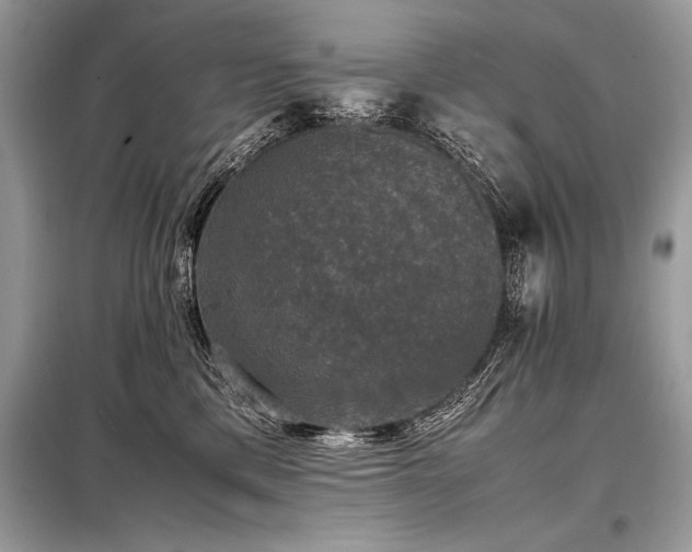 X0000098190425200804241249