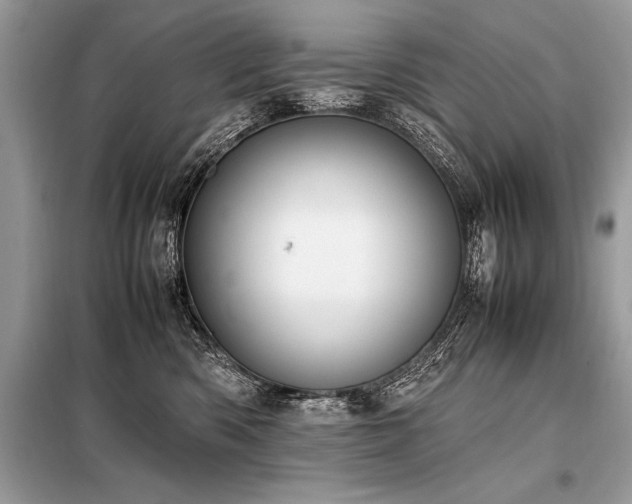X0000098190426200804241249