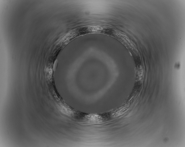 X0000098190427200804241249