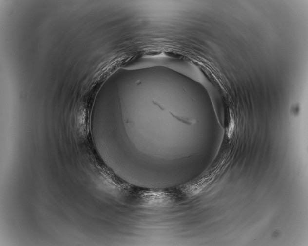 X0000098190428200804241249
