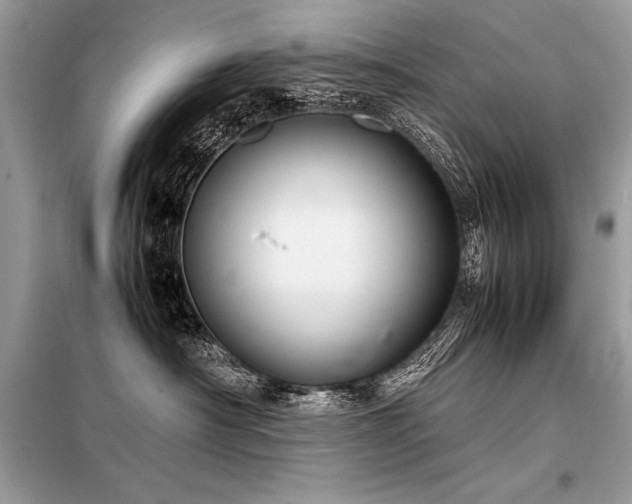 X0000098190430200804241249