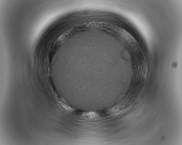 X0000098190431200804241249