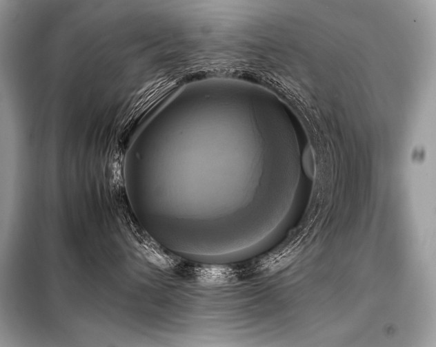 X0000098190432200804241249