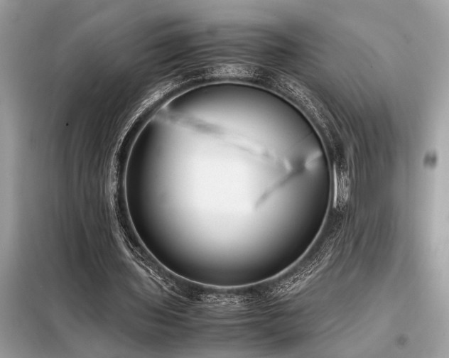 X0000098190435200804241248