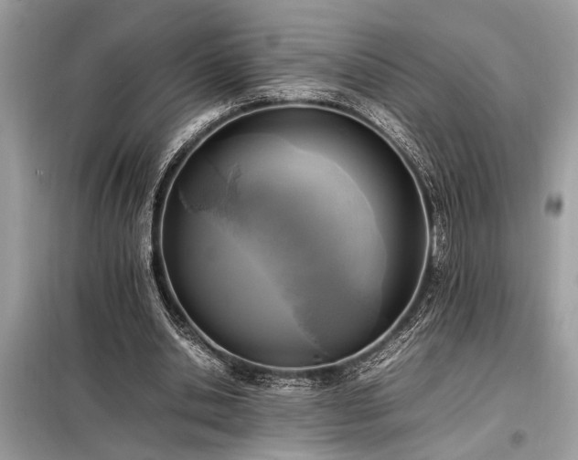 X0000098190438200804241248