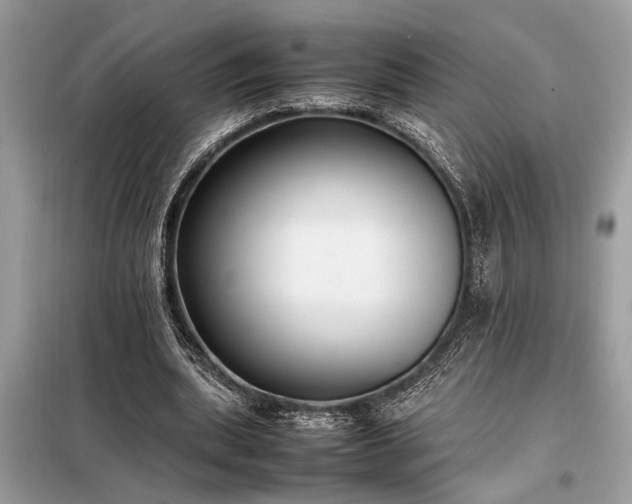 X0000098190439200804241248